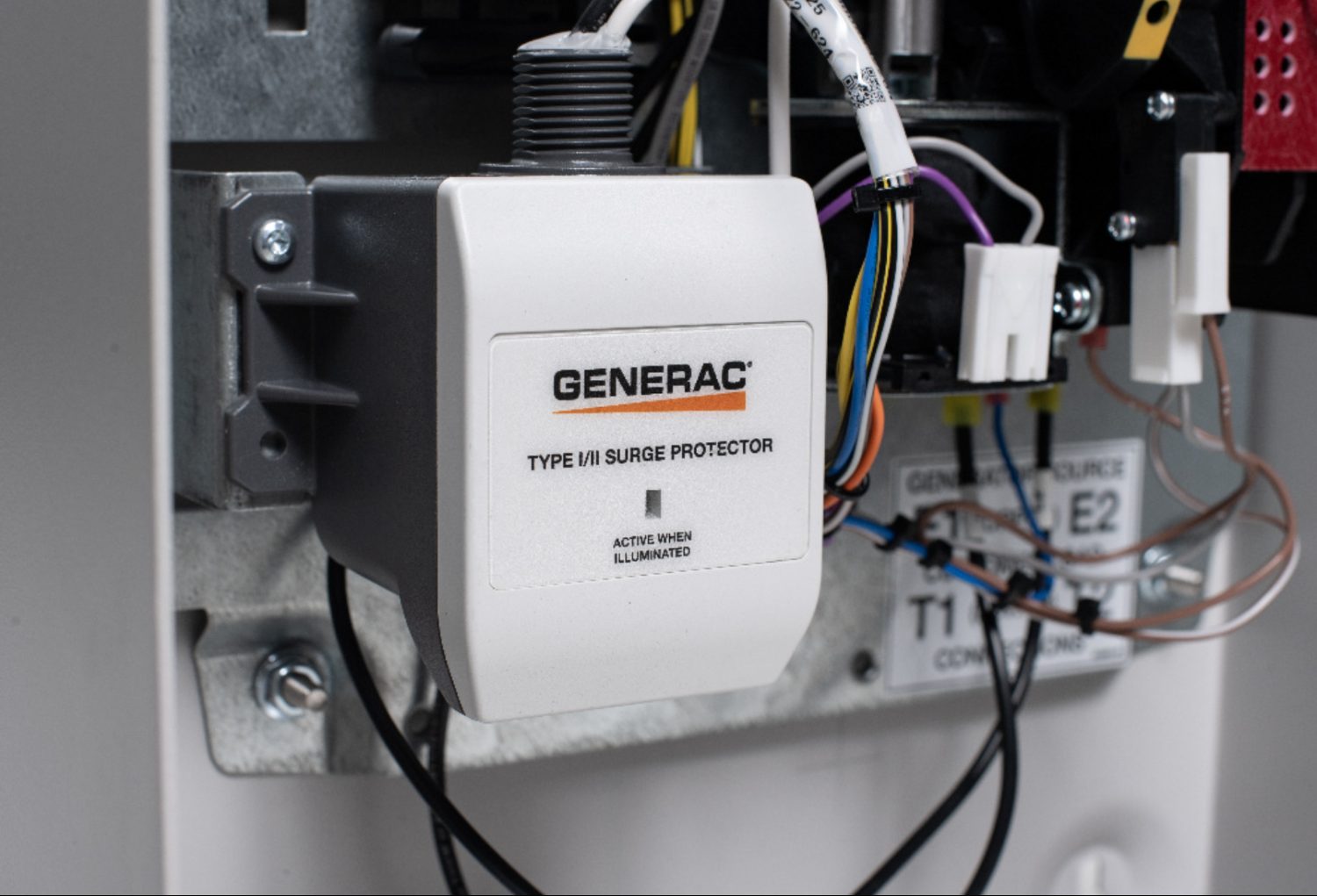 Whole-home surge protector at the panel